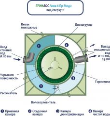 ГРИНЛОС Аква 6 Пр Миди